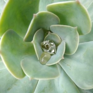 Meet your Posher, Sweet